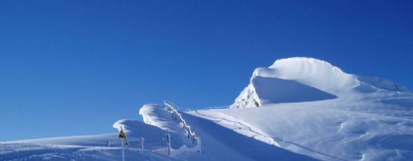 Avoriaz Forney Bowl